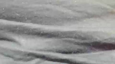 lustgardener67 online show from January 9, 11:24 pm