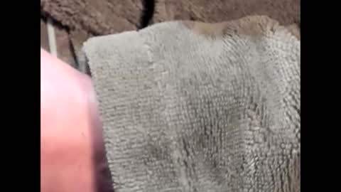 lustgardener67 online show from March 4, 7:19 am