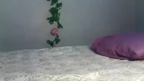 Snapshot of luvu4everxxx chatting on October 12, 5:22 am Bee Bee online show from October 12, 5:22 am