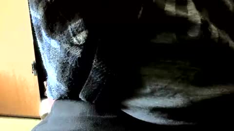 madu63 online show from March 30, 10:26 am