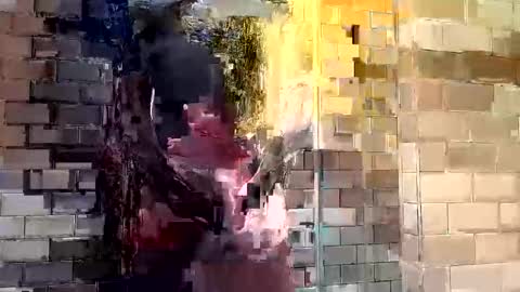 Captain online show from April 19, 2:40 pm