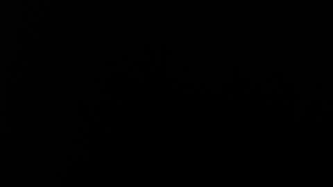 Alice Asylum online show from November 20, 4:00 am