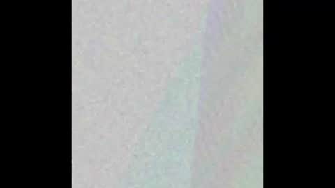 Snapshot of manatee_bear chatting on September 17, 3:10 am manatee bear online show from September 17, 3:10 am