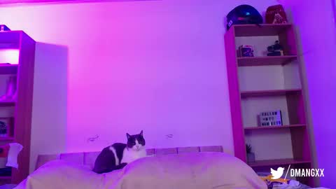 Danny online show from December 22, 3:35 am