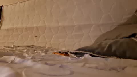 Jan and Man online show from March 17, 3:33 am