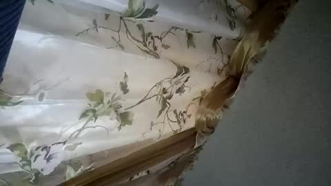 Ernesto online show from February 20, 5:07 am