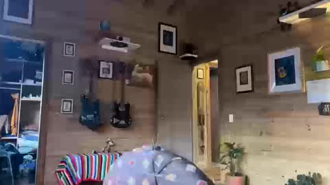 Alfonsina online show from September 26, 10:07 pm