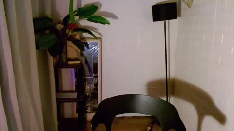 Wenwen online show from December 30, 8:58 pm