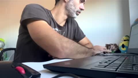 marsupilami_82_ online show from November 25, 10:03 am