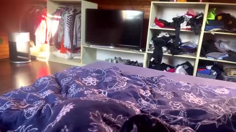 Snapshot of martinkaa914 chatting on January 3, 12:51 pm martinkaa914 online show from January 3, 12:51 pm