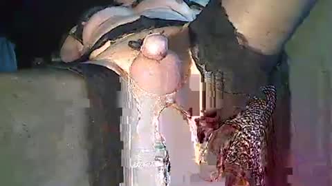 Snapshot of maschpro chatting on December 26, 2:37 pm maschpro online show from December 26, 2:37 pm