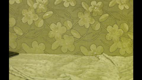 Master online show from March 27, 10:55 pm