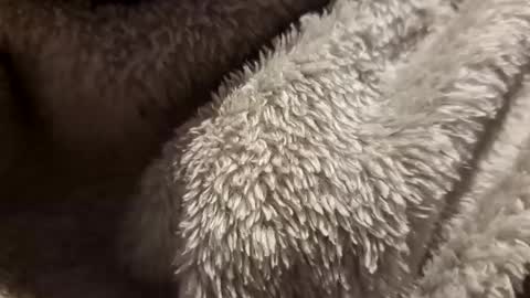 Snapshot of mattca80 chatting on October 4, 2:53 am mattca80 online show from October 4, 2:53 am