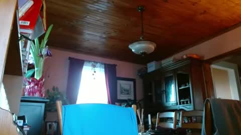 Maurice online show from January 15, 12:47 pm