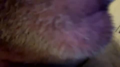 Snapshot of maverick7000 chatting on February 23, 8:17 am maverick7000 online show from February 23, 8:17 am