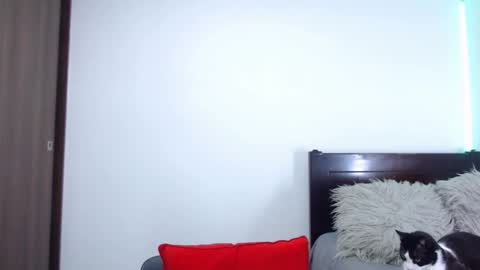 Independent Model online show from January 18, 4:32 am