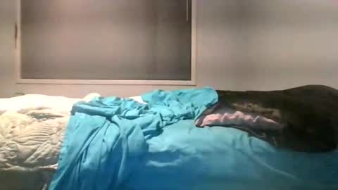 Max online show from June 4, 2:28 am
