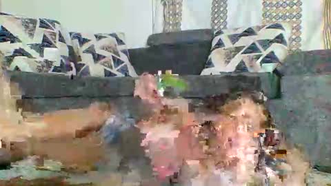 maya online show from March 19, 8:36 pm