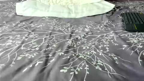 Maybelline69 online show from November 14, 2:14 am