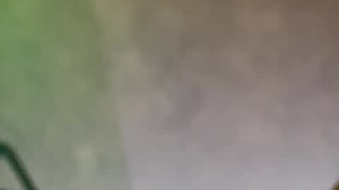 mccoist online show from January 11, 10:16 pm