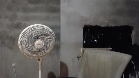 Mcgregor online show from November 25, 3:16 am