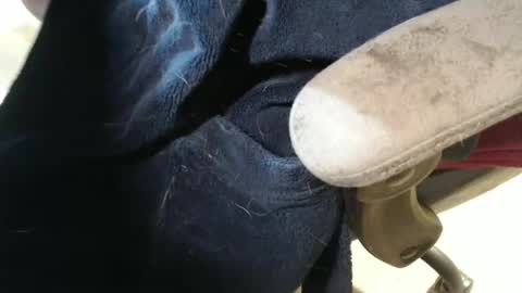 mee9090e900 online show from October 5, 11:51 am