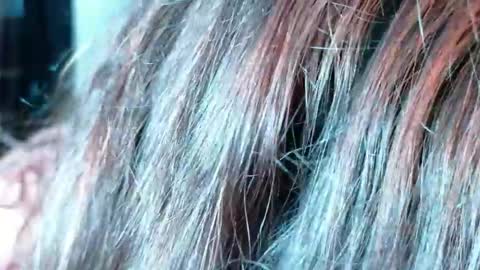 Megan online show from June 4, 10:05 pm