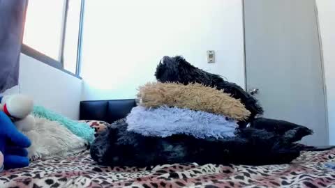 Snapshot of melisagalindo chatting on October 2, 7:12 pm Melissa Galindo online show from October 2, 7:12 pm