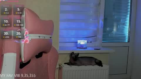 MELONI online show from April 19, 11:11 am