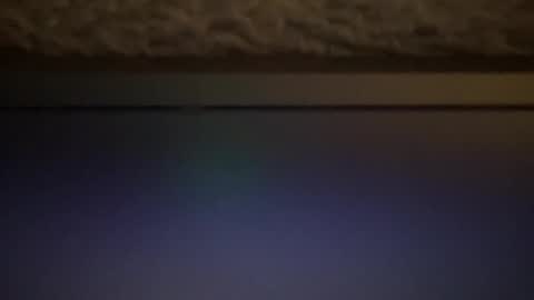 melt13 online show from January 6, 2:26 am