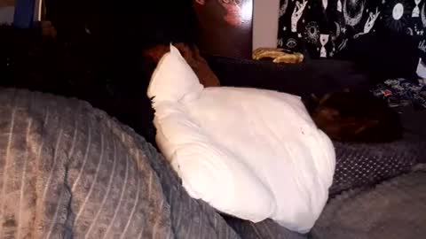 Giorggio Fragacci online show from April 9, 2:15 am