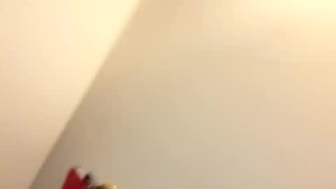 miamimintz online show from November 12, 1:19 am