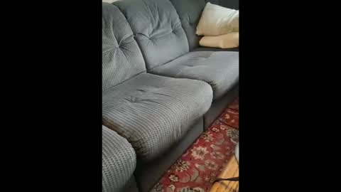 michaskinny online show from November 21, 7:50 am