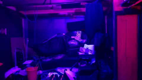 mickdollz online show from September 30, 7:41 am