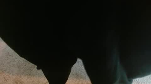 mikehey1 online show from October 1, 3:55 pm