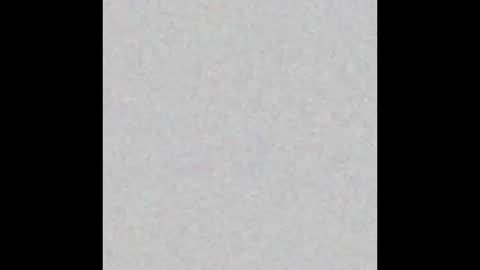 milehighcock5280 online show from October 31, 10:26 am