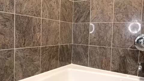 minniehunney online show from January 19, 11:53 am