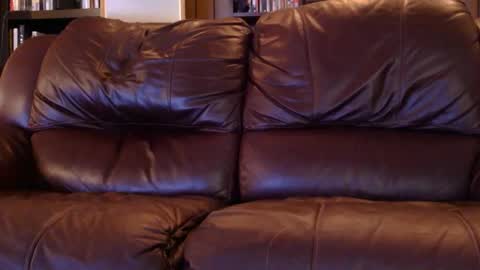 misohoney007 online show from April 25, 3:30 am