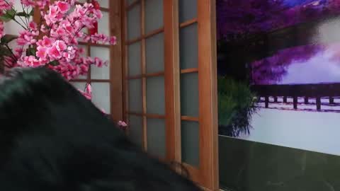 Anastisia online show from September 27, 11:08 am