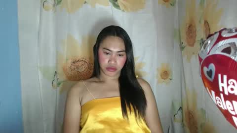 Eva online show from February 24, 11:24 am