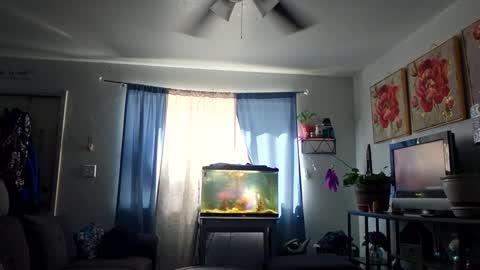 Snapshot of missblueyes92 chatting on September 24, 8:59 pm missblueyes92 online show from September 24, 8:59 pm