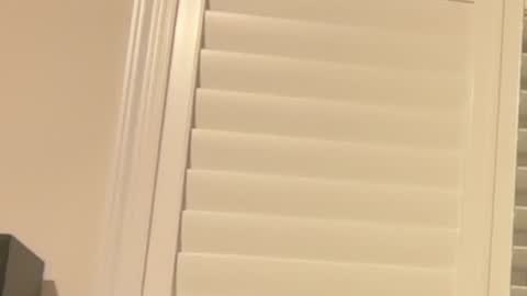 missreginababy online show from July 22, 3:41 am