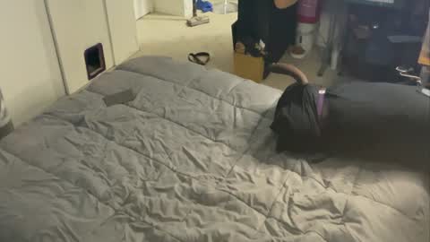 miki loves bbc online show from December 26, 9:15 pm