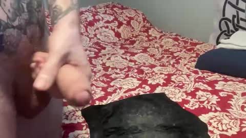 MNTuiLa online show from November 20, 2:25 pm