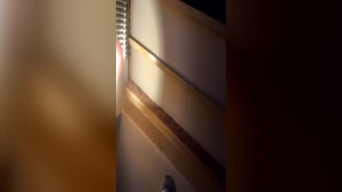molitsrymale69 online show from June 19, 7:36 am