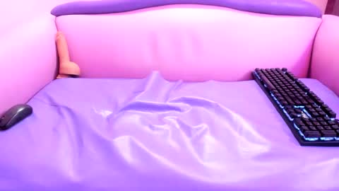 carolina online show from November 6, 1:03 pm