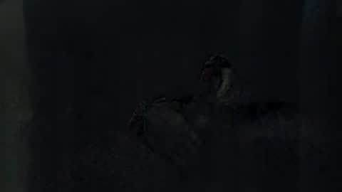 Mike online show from November 24, 12:15 pm