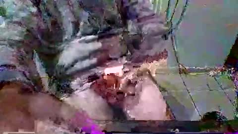 mppempis81 online show from January 31, 7:11 pm