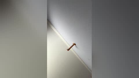 Hunter online show from February 14, 9:17 pm