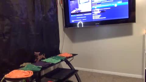 whateveryouwant online show from January 3, 9:58 am